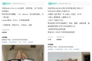 星盘查询闲鱼：LABUBU搜索量环比上涨1000%，供不应求下现租赁新形式