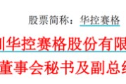 星盘查询华控赛格董事长、董秘、副总经理三高管同日辞职