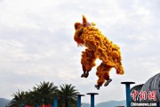 星盘查询（文化中国行）壮乡狮舞闯南洋：脚踏“云桩” 饮誉海内外